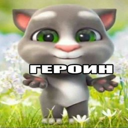 danilkakiller1337