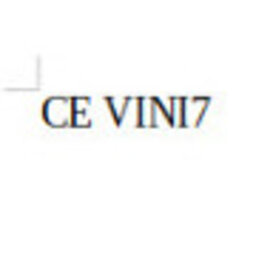 CE VINI7