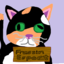 Frassin esports
