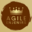 Agile enjenirs