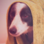 Cesark
