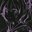 Lexu2S