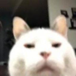 AleksiSuoraanMaagista