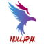 Nullapax eSport