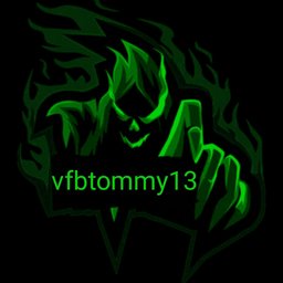 «FL»vfbtommy13#6535