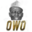 Team OWO