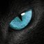 NiX-