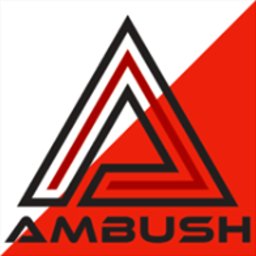 Ambush_Skjold