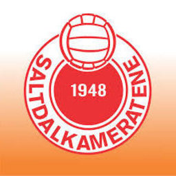 Fotballklubben Saltdalkameratene eFotball