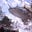 lorddark020