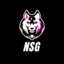NSG Esports (was deleted at: 2021-02-27T14:42:48.6678089Z)