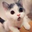 Girls Army (was deleted at: 2020-01-21T08:26:05.0416128Z)