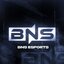 BNS Esports