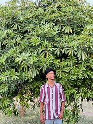 Jayad chouhan
