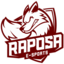 Raposa eSports - TFT