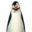 Kowalski Madagascar