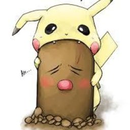 Dikke