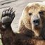 IMaBEAR