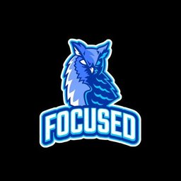 FocusedCS