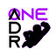 1ADR