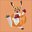 KangarooDream