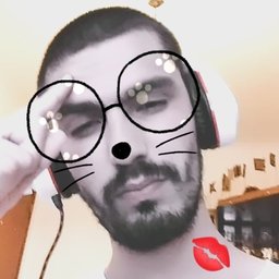 DenLFoX