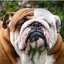 ROFL_ (was deleted at: 2024-05-29T19:26:21.0601438Z)