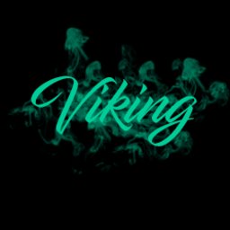 -V1k1ng-