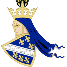 Bosnian Knight