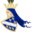 Bosnian Knight