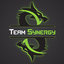 TEAM SYNERGY GREEN