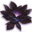 Nelumbo adans (was deleted at: 2022-01-26T18:37:02.6115356Z)