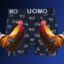 UOMO Roosters