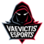 Vaevictis eSports