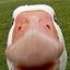 Double Hitb0x (was deleted at: 2019-10-30T22:24:46.0786093Z)