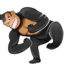 The Monkeys1