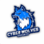 Cyber Wolves Blue team