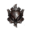 nateleon23_xd