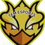 Tem esport
