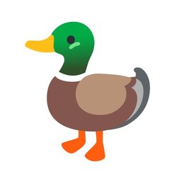 duck_#