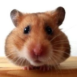 HÖRÖH