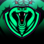 SnakeTeamm