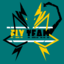 FLY TEAM
