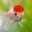 Legerity Valorant (was deleted at: 2021-05-22T18:31:57.7922447Z)