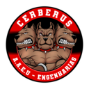A.A.E.U Cerberus E-Sports