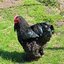 Pajeros Del Mes (was deleted at: 2022-11-15T21:15:22.1503568Z)