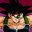 Bardock WR