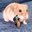 Mirkonium#