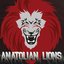 Anatolian Lions