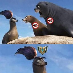 roxdafu